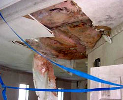 Proper Ventilation Avoids Damage